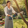 BX-3439 Cordless Chainsaw 12”  With 70–100 Cm Telescopic Pole. 2×48 V 5 Ah